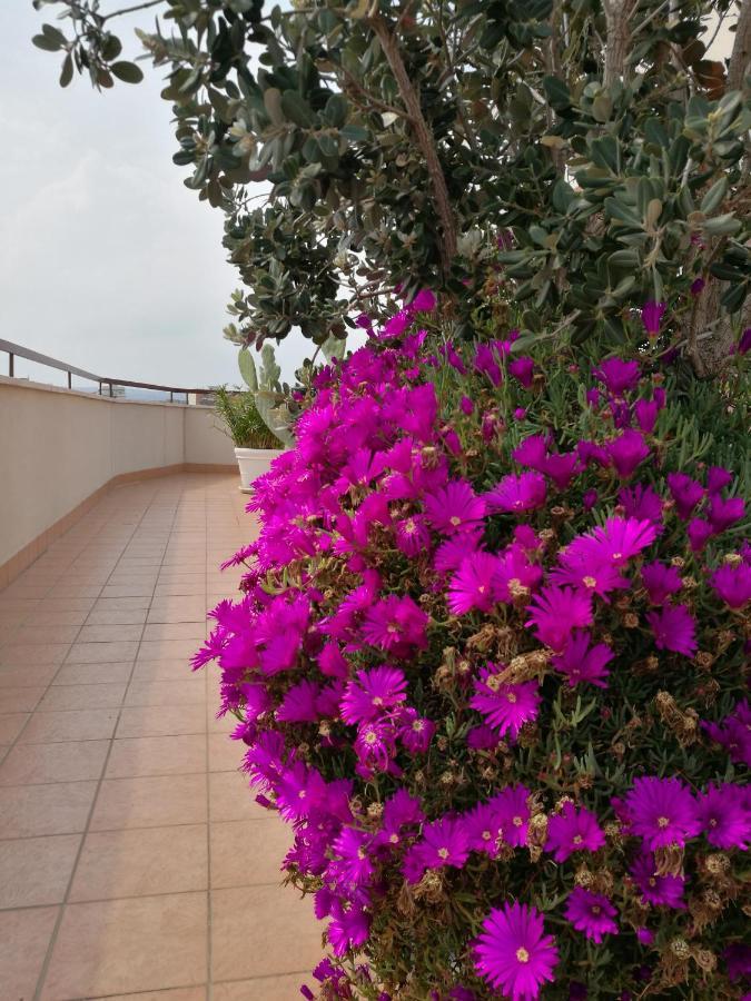 Apartment Isolaazzurra